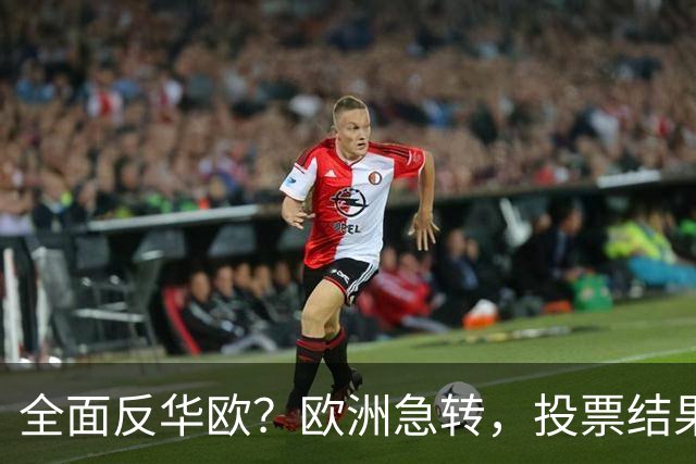 全面反华欧？欧洲急转，投票结果一边倒，欧盟：中国只懂一种语言