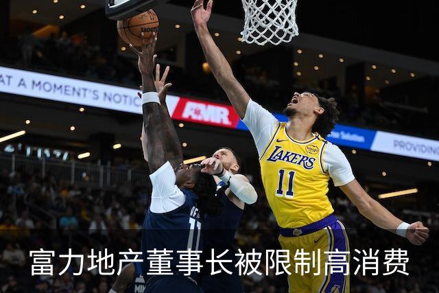 富力地产董事长被限制高消费