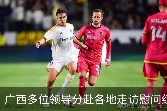广西多位领导分赴各地走访慰问红军失散人员