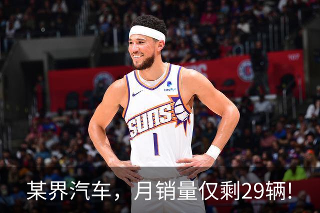 某界汽车，月销量仅剩29辆!
