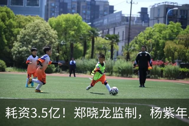 耗资3.5亿！郑晓龙监制，杨紫年度大剧来袭，央视新闻力推，我敢说：剧王无疑了