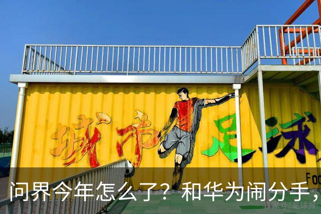 问界今年怎么了？和华为闹分手，出海弃用华为用博士，车主撞车起火！网友：今年不太顺