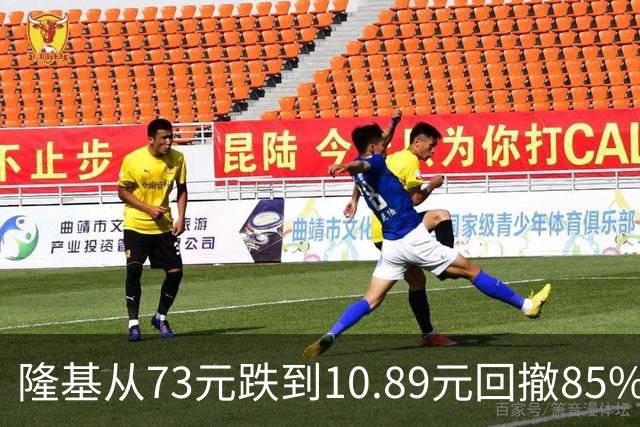 隆基从73元跌到10.89元回撤85%！从年赚148亿到巨亏86亿，还在熬